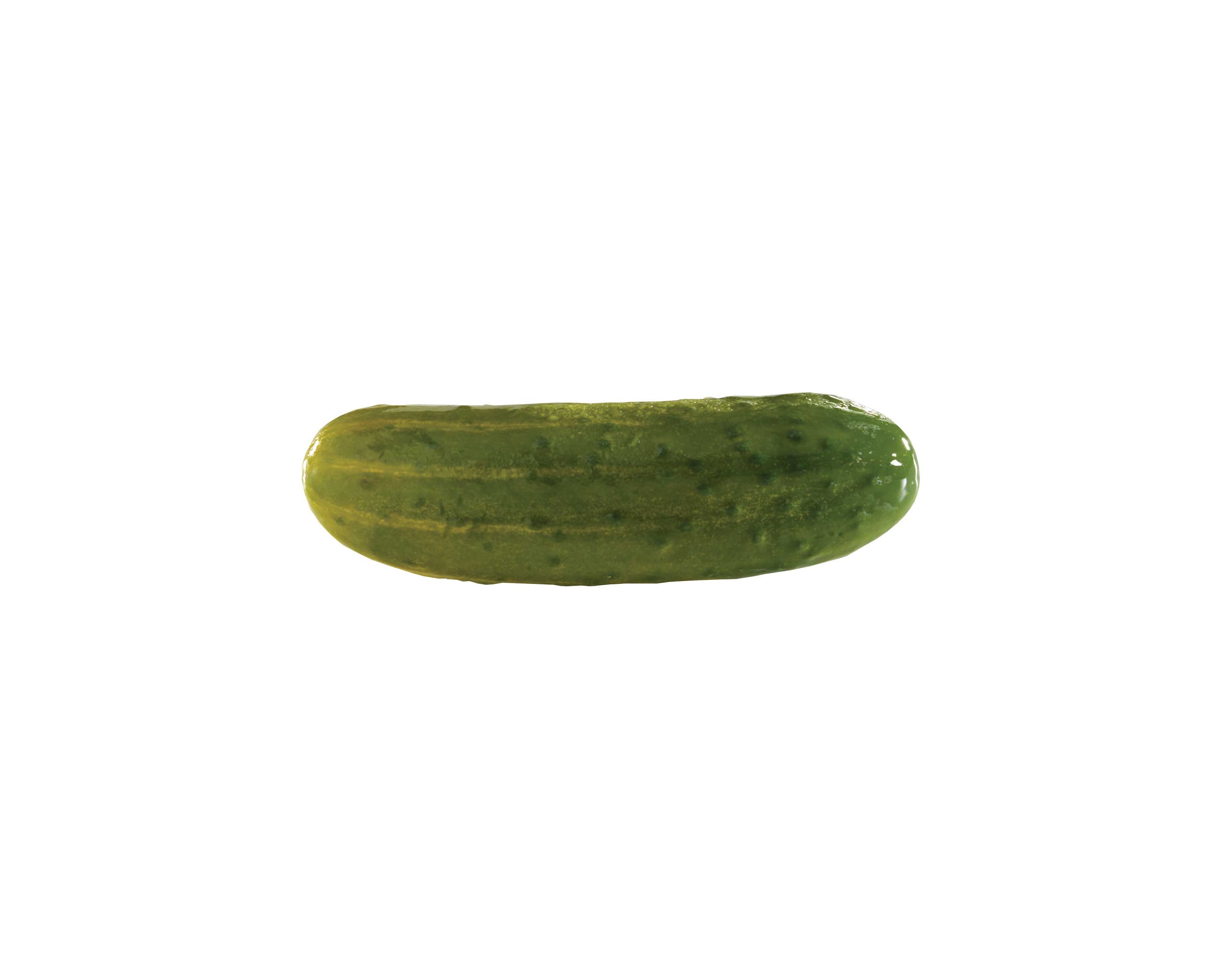Bay Valley Foods Kosher Whole Dill Pickle 60/70, 5 Gallon.