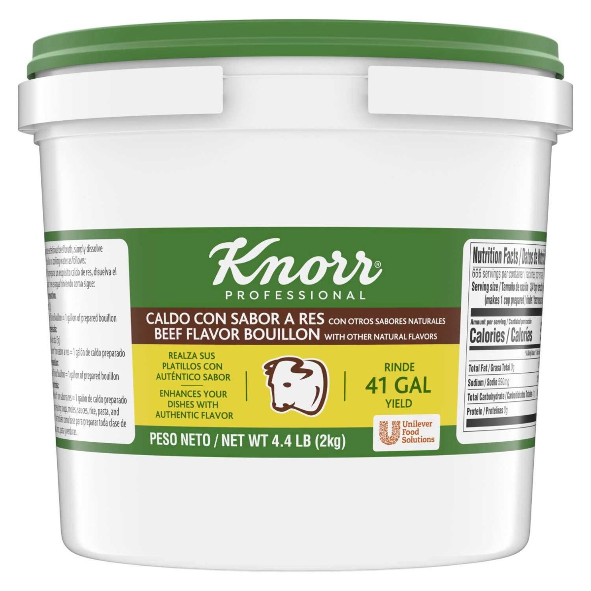 Single Knorr Professional Caldo De Res Beef Bouillon Base, 4.4 Pound