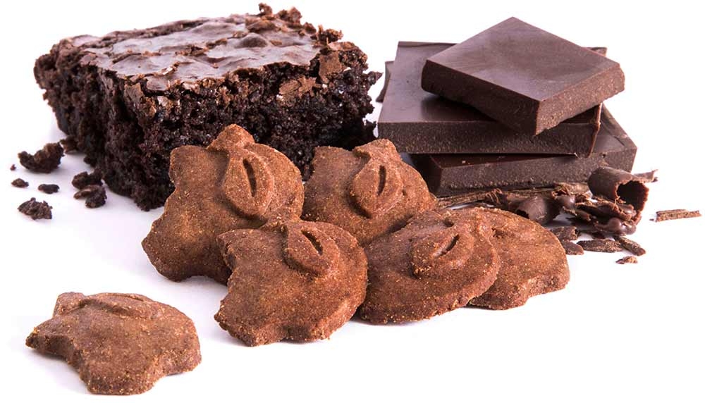 Appleways Cocoa Crispy Bites, 1.0 Ounce -- 108 per case