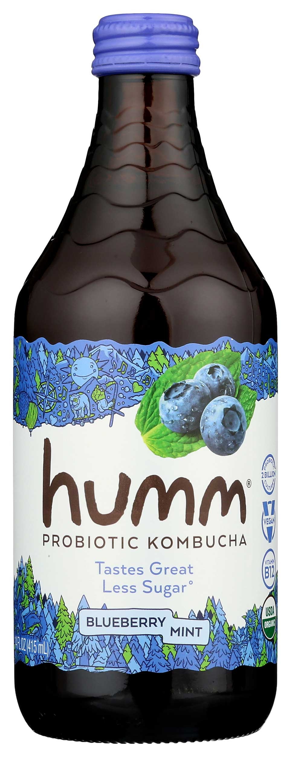 Humm Organic Blueberry Mint Kombucha, 14 Fluid Ounce -- 12 per case.