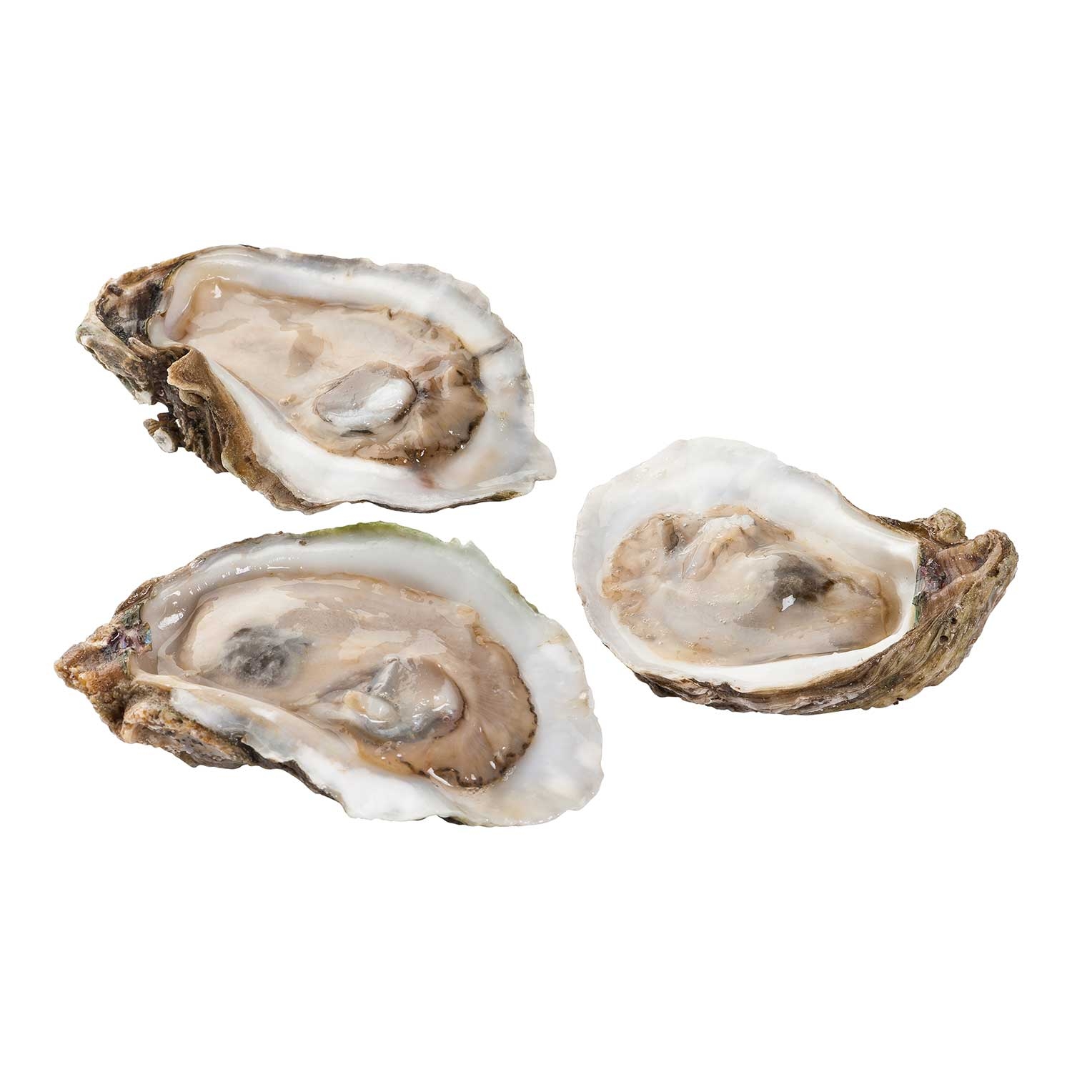 Hillman USA Half Shell Oyster, 30 Pound.