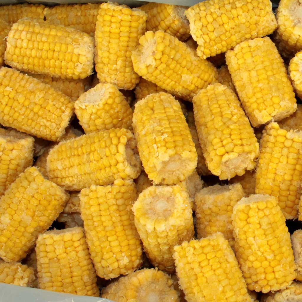 Commodity Vegetables Mini Corn Cob, 3 inch -- 96 per case.