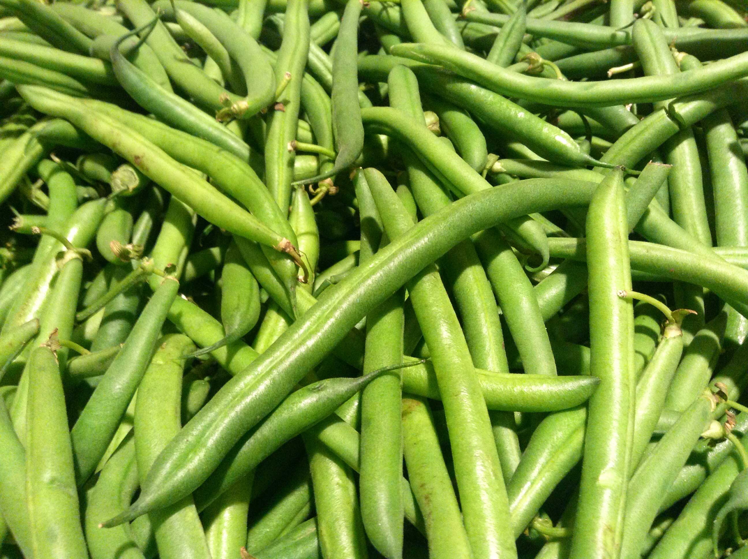 Commodity Vegetables Whole Green Bean, 2 Pound -- 12 per case.