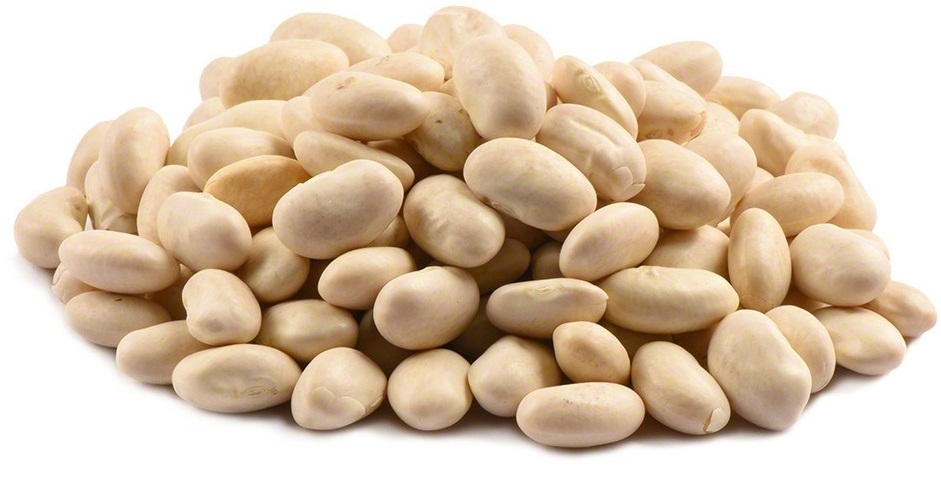 Commodity Beans Great Northern Bean, 20 Pound