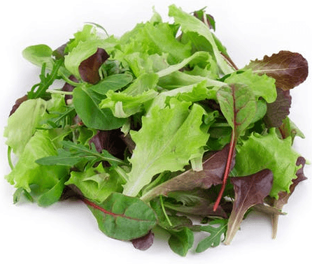 Commodity Canned Fruit and Vegetables Mixed Greens, 10 Pound -- 6 per case