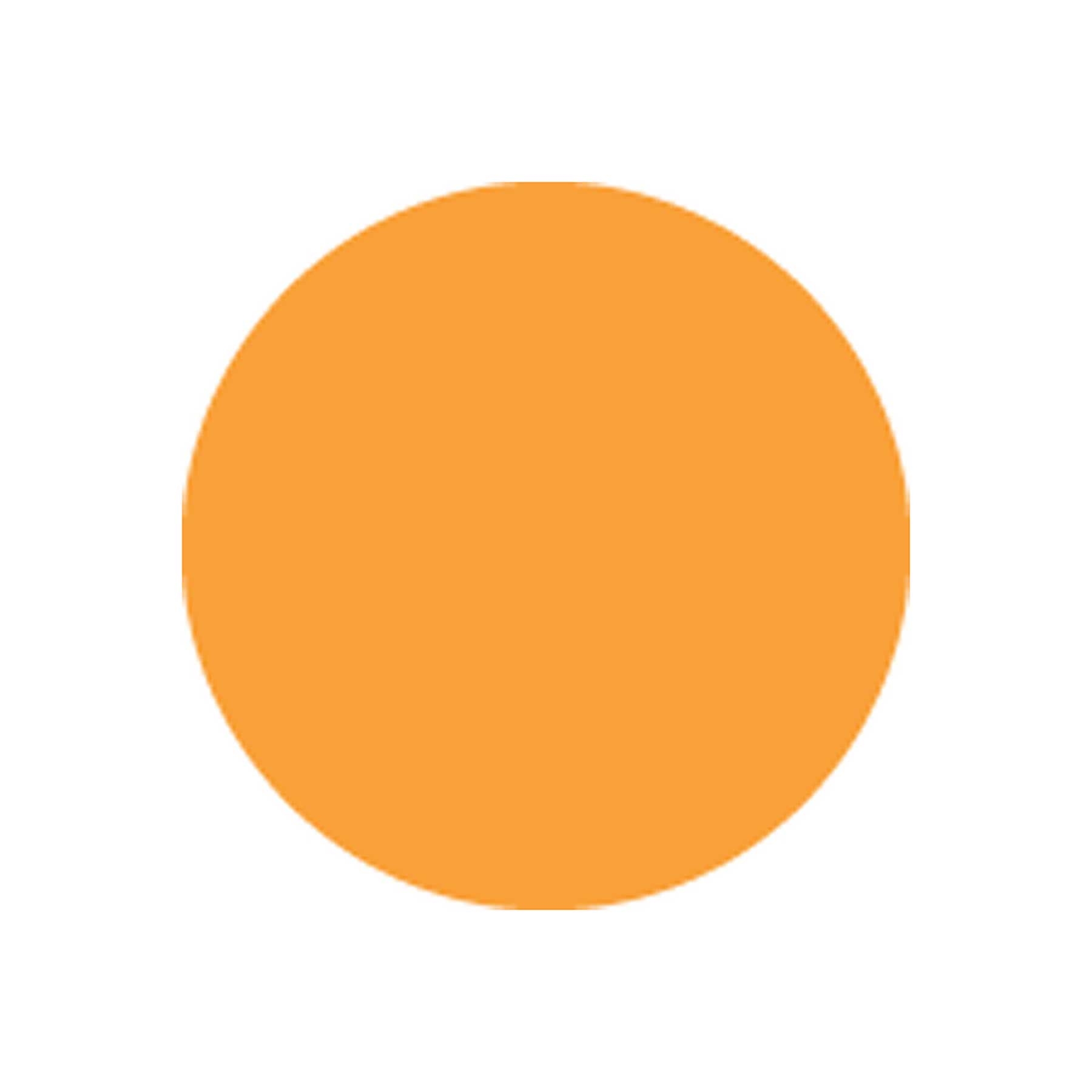 National Checking Orange Circle Permanent Label, 5 inch -- 1000 per case.