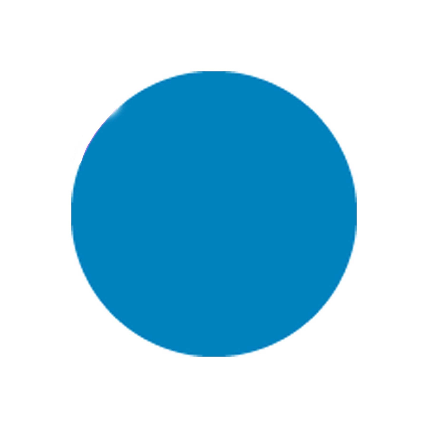 National Checking Blue Circle Permanent Label, 5 inch -- 1000 per case.