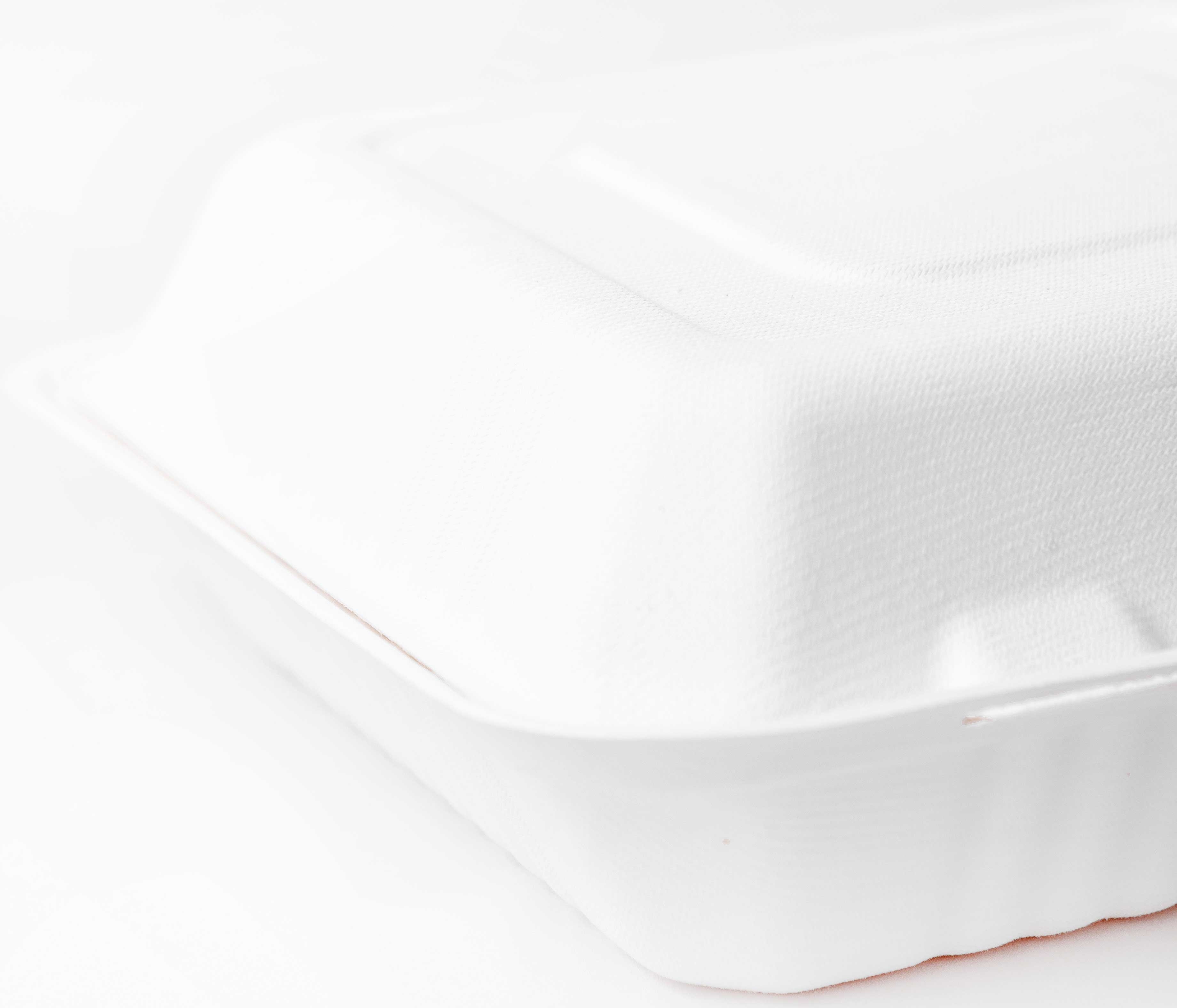 Greenprint 1 Compartment Clamshell Box, 9 x 9 inch -- 200 per case