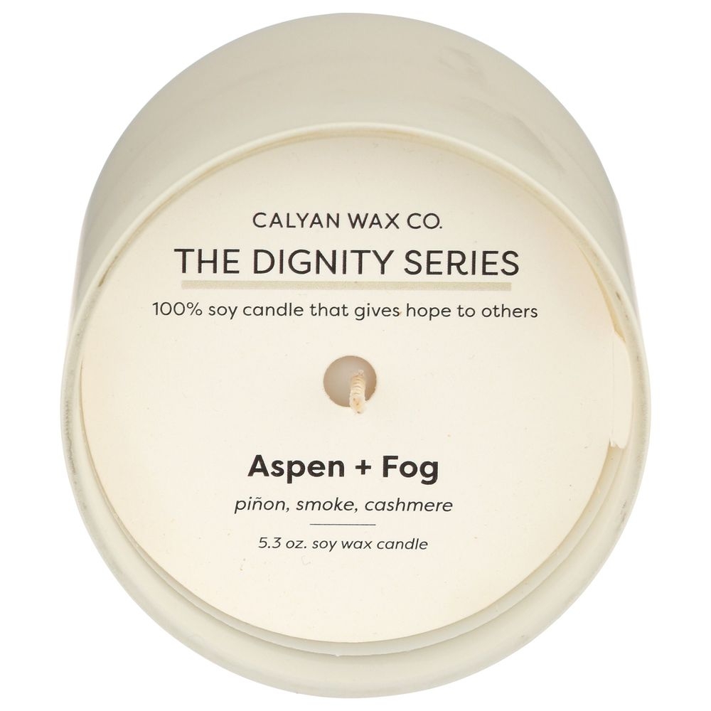 Calyan Wax Aspen Plus Fog Soy Candle, 5.3 Ounce -- 6 per case