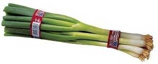 T and T Industries Twist-Ems PLU 4629 Red Leeks Tie, 18 inch -- 1000 per case