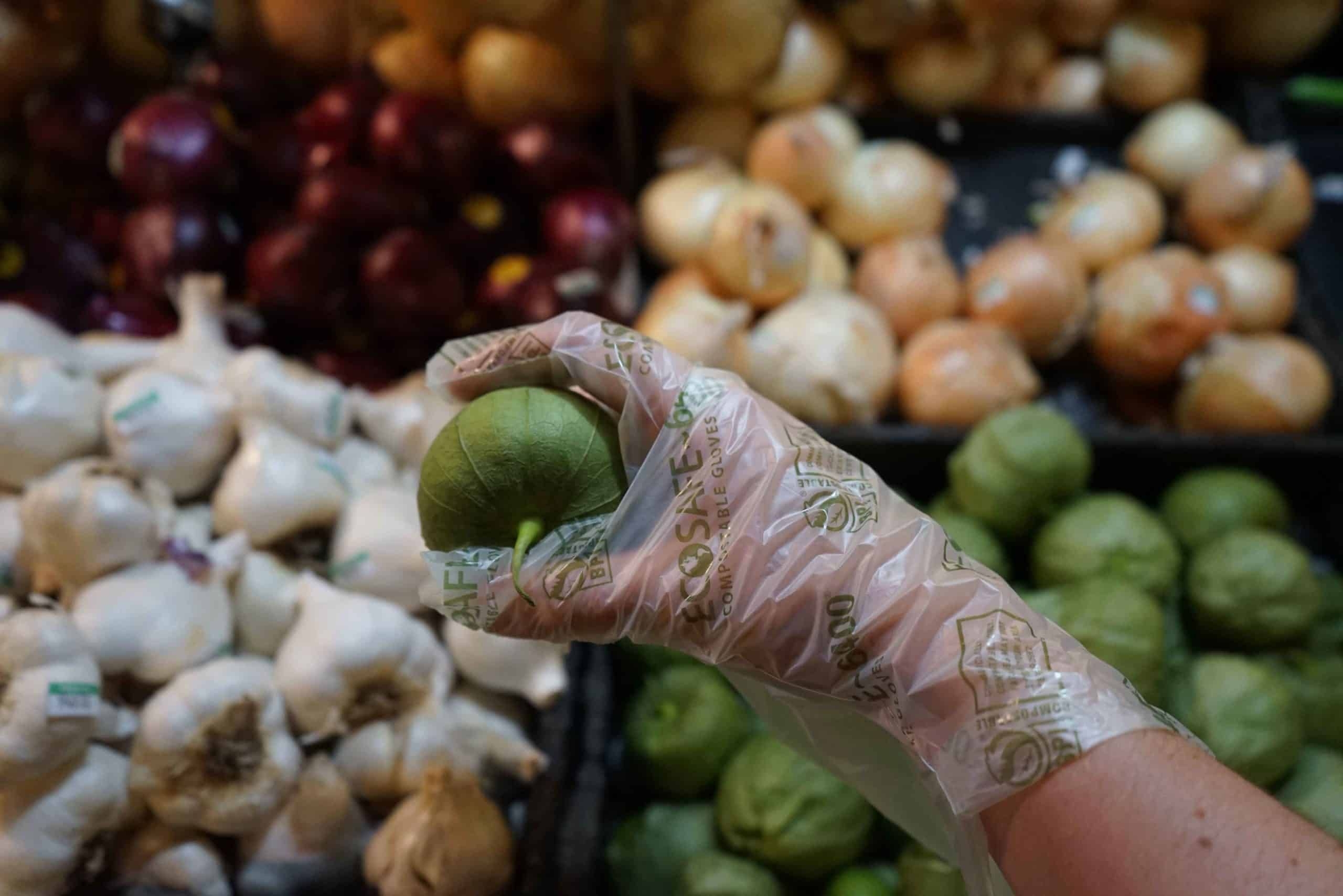 EcoSafe PLA 0.7 Mil Large Green Food Prep Compostable Gloves -- 800 per case