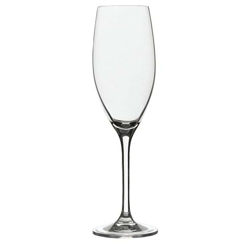 Edition 7.75 Ounce Champagne Flute Glass, 24 count