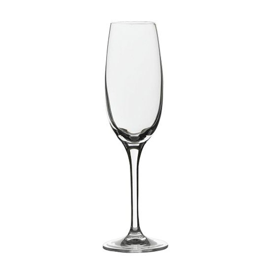 Edition 5 Ounce Champagne Flute Glass, 24 count