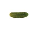 Bay Valley Foods Kosher Whole Dill Pickle 60/70, 5 Gallon.