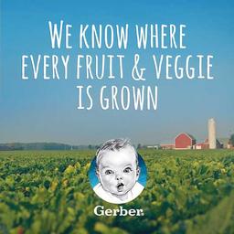 Product thumb gallery 2758499