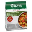 Single Knorr Professional Soup du Jour Garden Vegetable Soup Mix, 8.7 Ounce