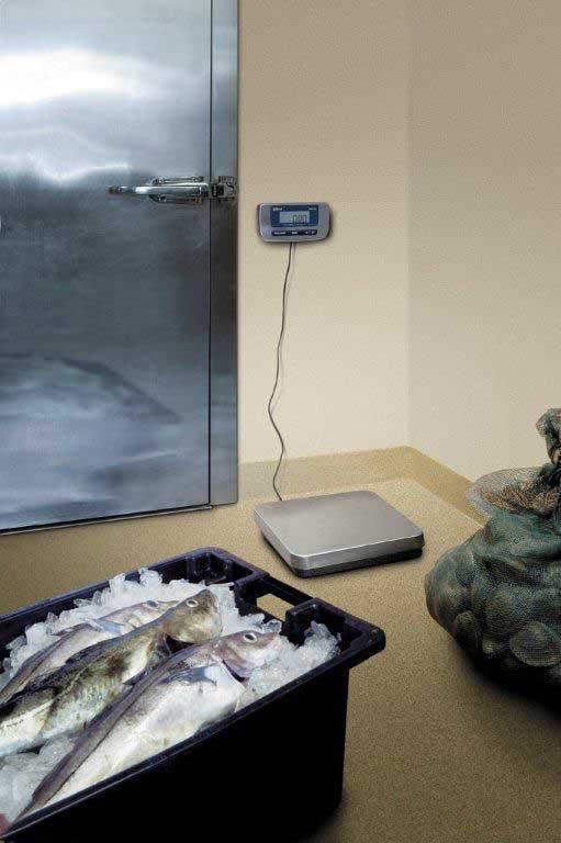 Product gallery 1318383