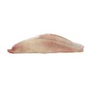 Beaver Street Fisheries Snapper Scarlet Fillet, 10 Pound.