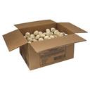 CSM Bakery Thaw N Bake Yeast Roll, 2 Ounce -- 210 per case.