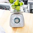 Taylor Rotating Dial Mechanical Scale - Portion Control Scale, 4 Ounce.
