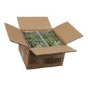 Amoy Vegetable Thai Potsticker, 0.7 Ounce -- 120 per case.