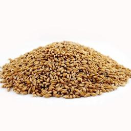 Product thumb gallery 3084957