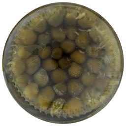 Product thumb gallery 51474914