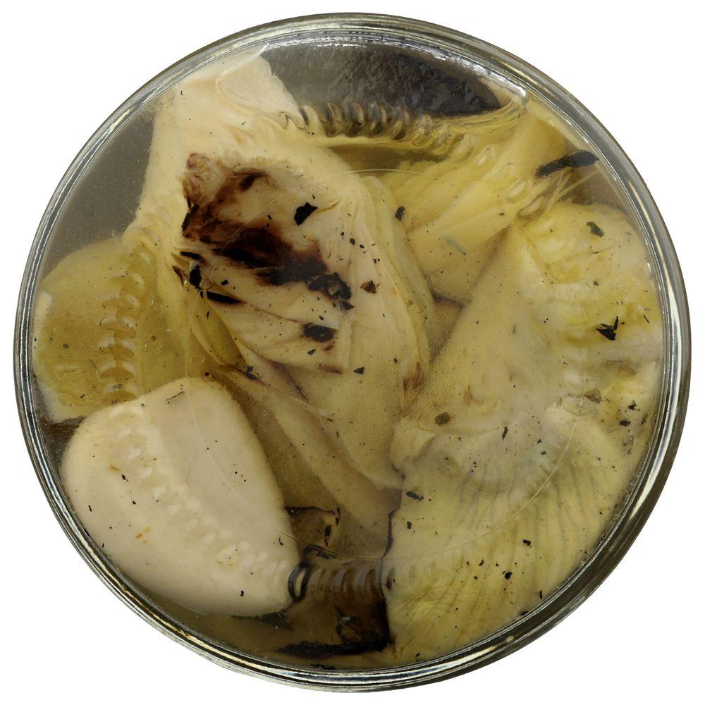 Product gallery 3105366