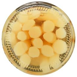 Product thumb gallery 4084719