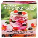 Bigelow Blackberry Raspberry Hibiscus Cold Water Infusion, 1.23 Ounce -- 6 per case