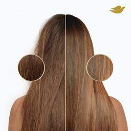 Product thumb gallery 4342596