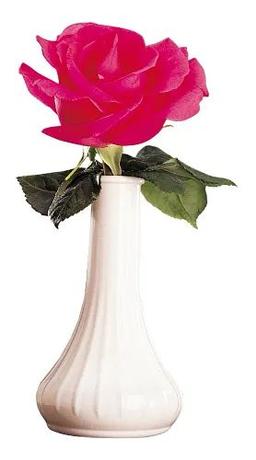 Product thumb gallery 3752995