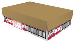 Product thumb gallery 1534493