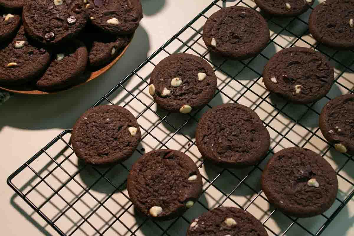 Product gallery 3561680