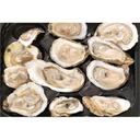 Packer Label Raw Half Shell Oysters -- 12 per case