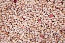 Commodity Beans Triple Clean Pinto Bean, 50 Pound