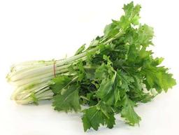 Product thumb gallery 1737994