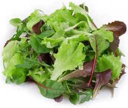 Product thumb gallery 1737997