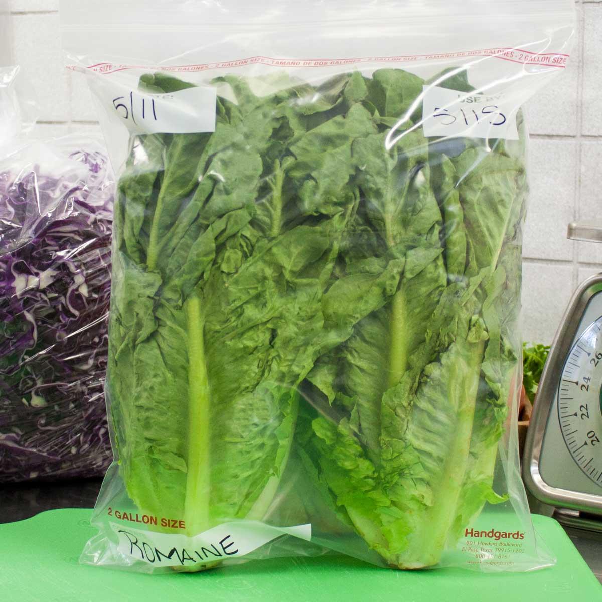 Product gallery 1412439