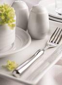 Syracuse China Lunar White Universal Pepper Shaker, 2.75 inch -- 36 per case.