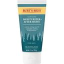 Burts Bees Soothing Moisturizer plus After Shave for Men, 2.5 Ounce -- 18 per case