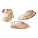 Prestige 25 to 30 Cut Oyster Meat - Pillowpack, 6 Pound -- 5 per case