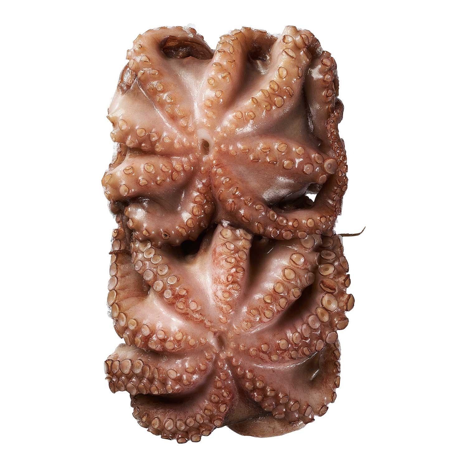 Product gallery 1566671