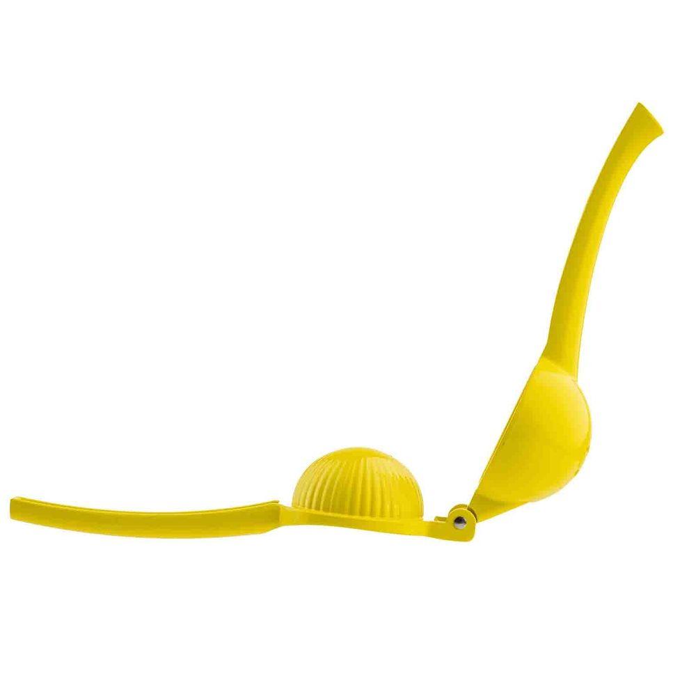 Product gallery 4681803