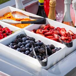 Product thumb gallery 4677933