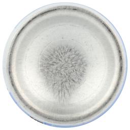 Product thumb gallery 3496967