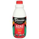 Trimona A2A2 Plain Bulgarian Yogurt Drink, 32 Ounce -- 6 per case