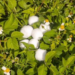 Product thumb gallery 3468494