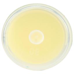 Product thumb gallery 4014104