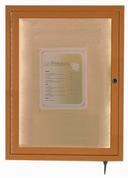 Aarco LED Lighted Oak Wood Finish Outdoor Display Case, 24 x 18 inch